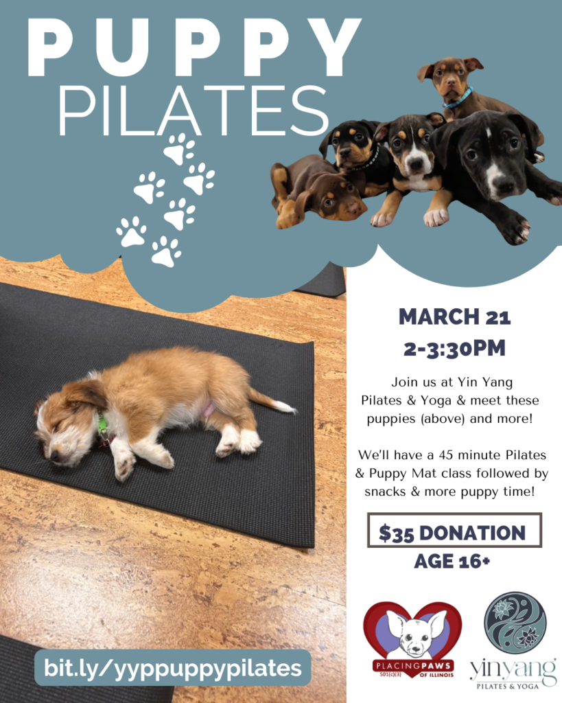 puppy pilates lake zurich